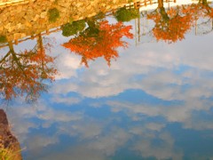 水面の秋
