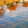 水面の秋