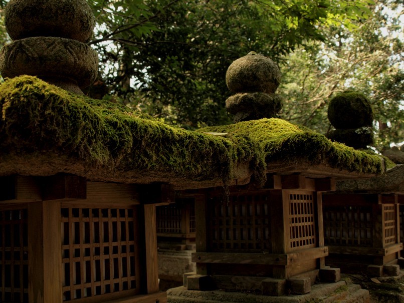 苔むすままに