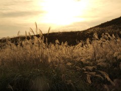 夕暮れ