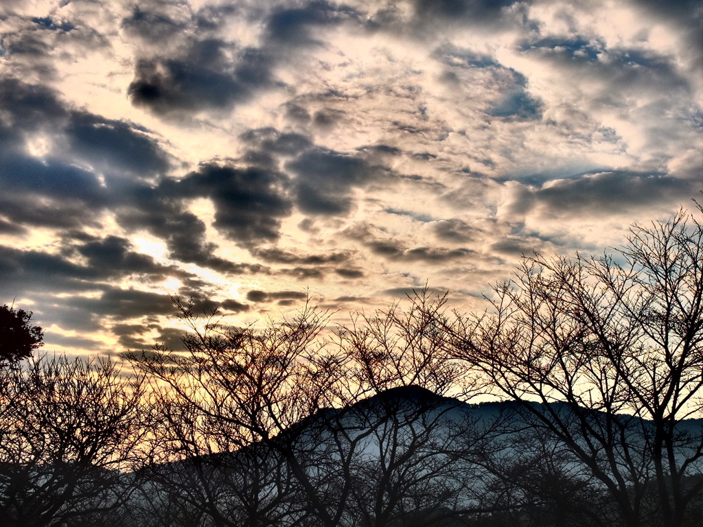 冬空
