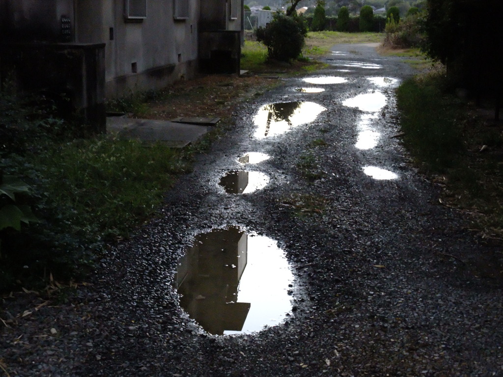 雨上がり