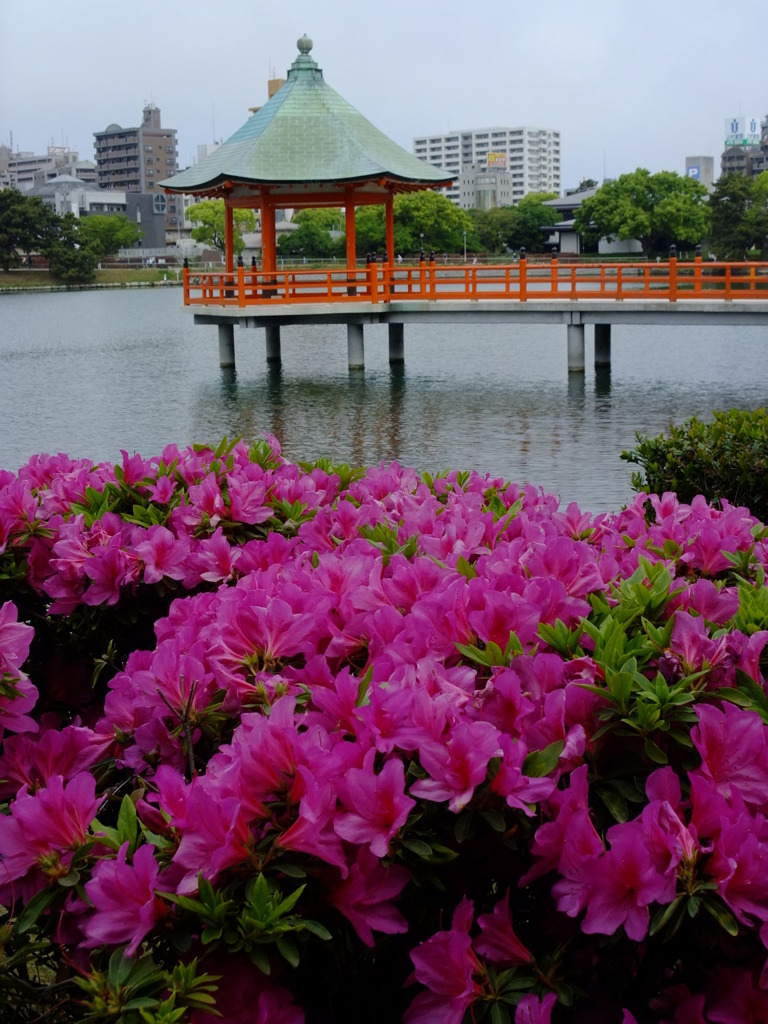 大濠公園