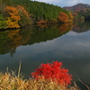 湖畔の彩り