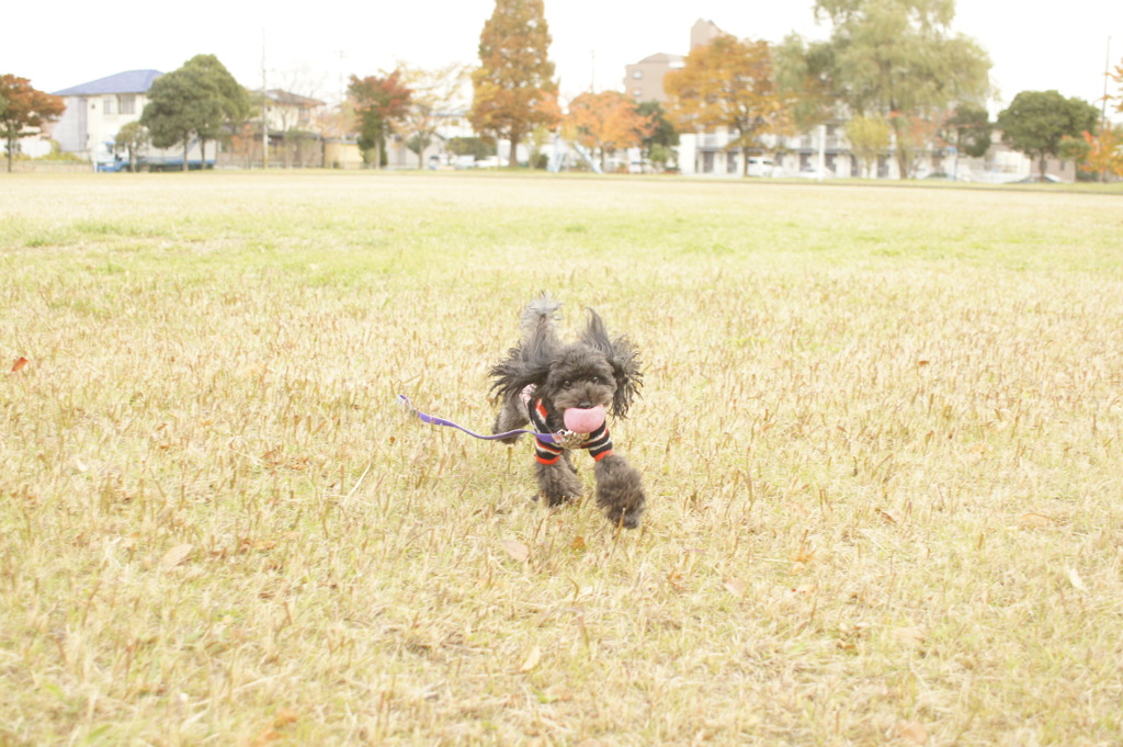 べー