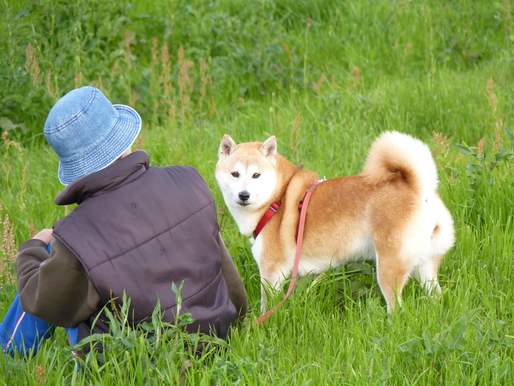 5月の夕暮れ