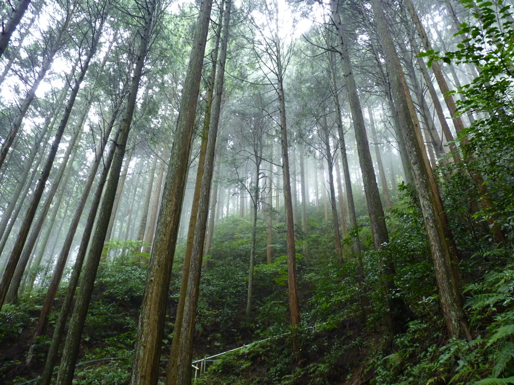 大阪最後の村