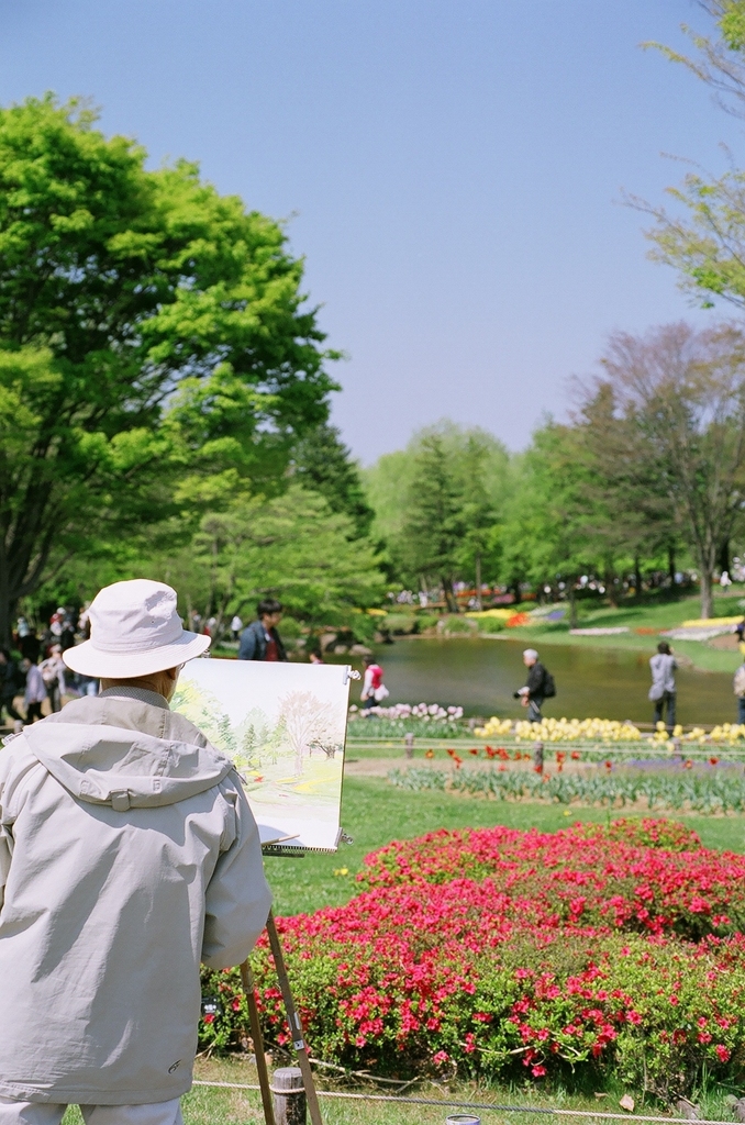 昭和記念公園・チューリップ