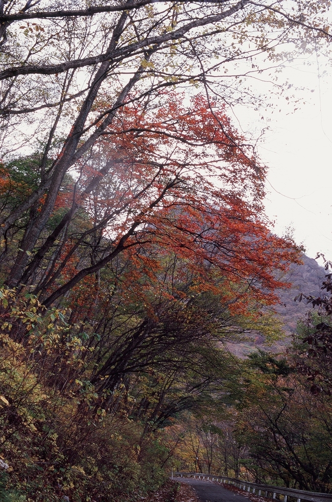 榛名山