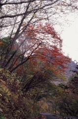 榛名山