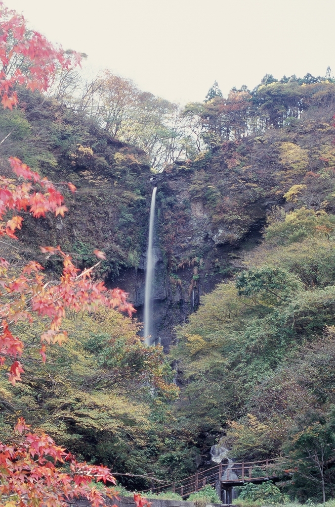 ２００９