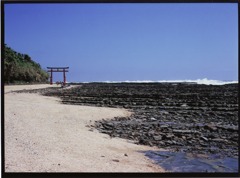青島神社
