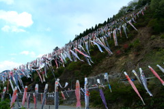 群馬県　神川町　鯉のぼり