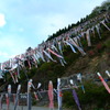 群馬県　神川町　鯉のぼり