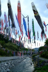 群馬県　神川町　鯉のぼり