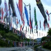 群馬県　神川町　鯉のぼり