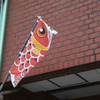 神川町の至る所に鯉のぼりがあります