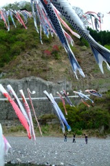 群馬県　神川町　鯉のぼり