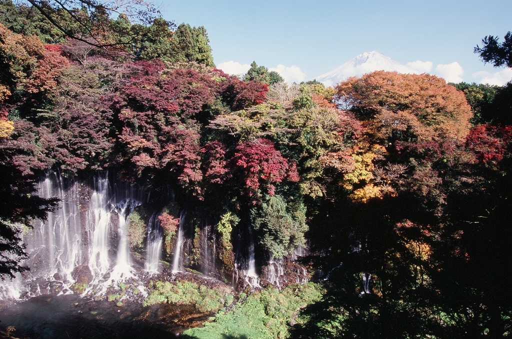 白糸の滝です