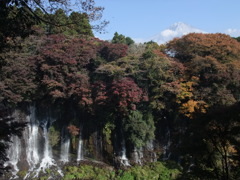 2010.11.16　白糸の滝