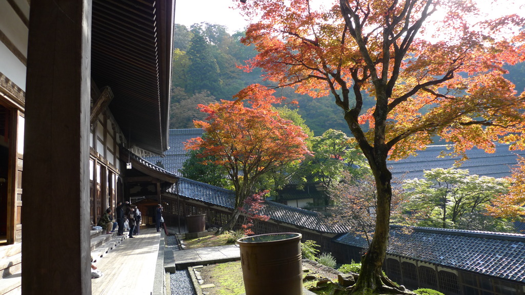 20101107_0091