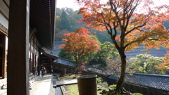 20101107_0091