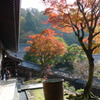 20101107_0091