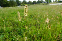 20101017_0003