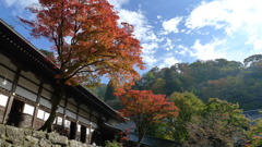 20101107_0102
