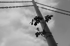 20101114_0325