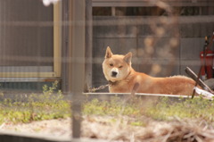 20110326_0149