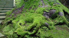 20101107_0113