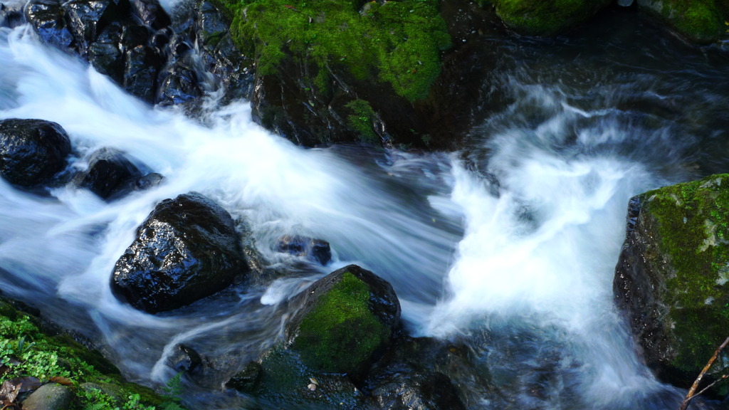 20101107_0128