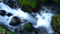 20101107_0128