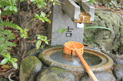 20110123_0013