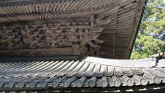 20101107_0077