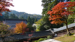 20101107_0083
