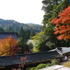 20101107_0083