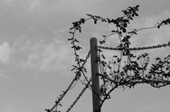 20101114_0322