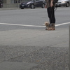 街角Dog