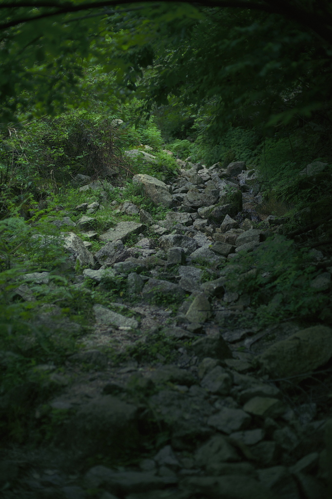 忘れられた山路