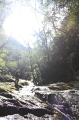 山の神様のお水