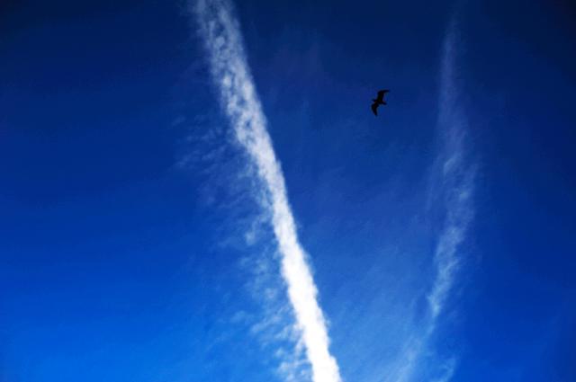 空に