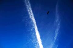 空に