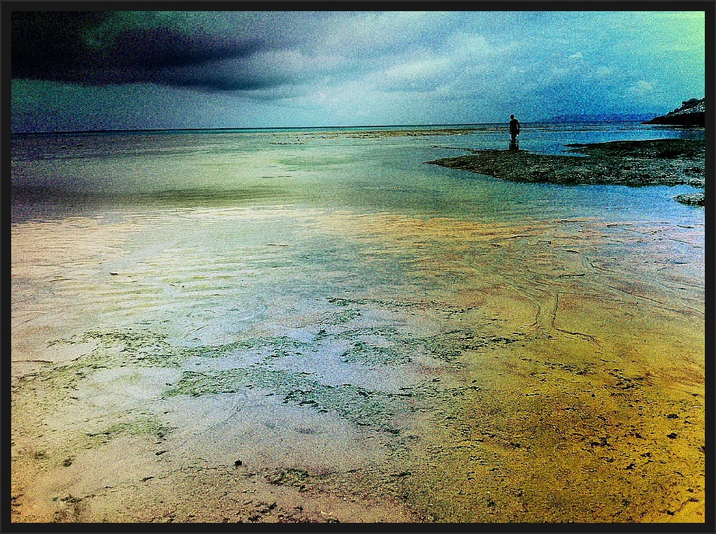 The Old Man and the Sea