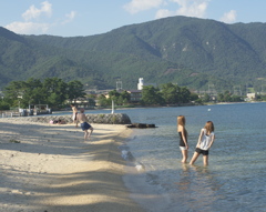 comical　summer