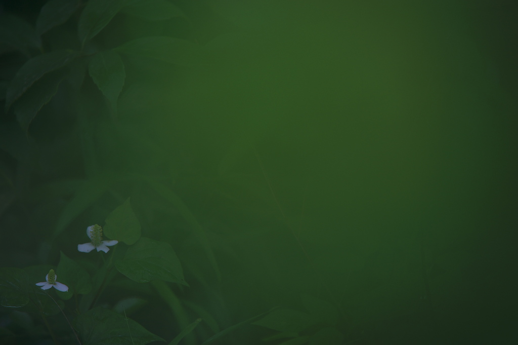 Green zone