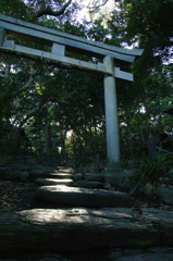 世界の門