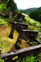朽ちず、在り