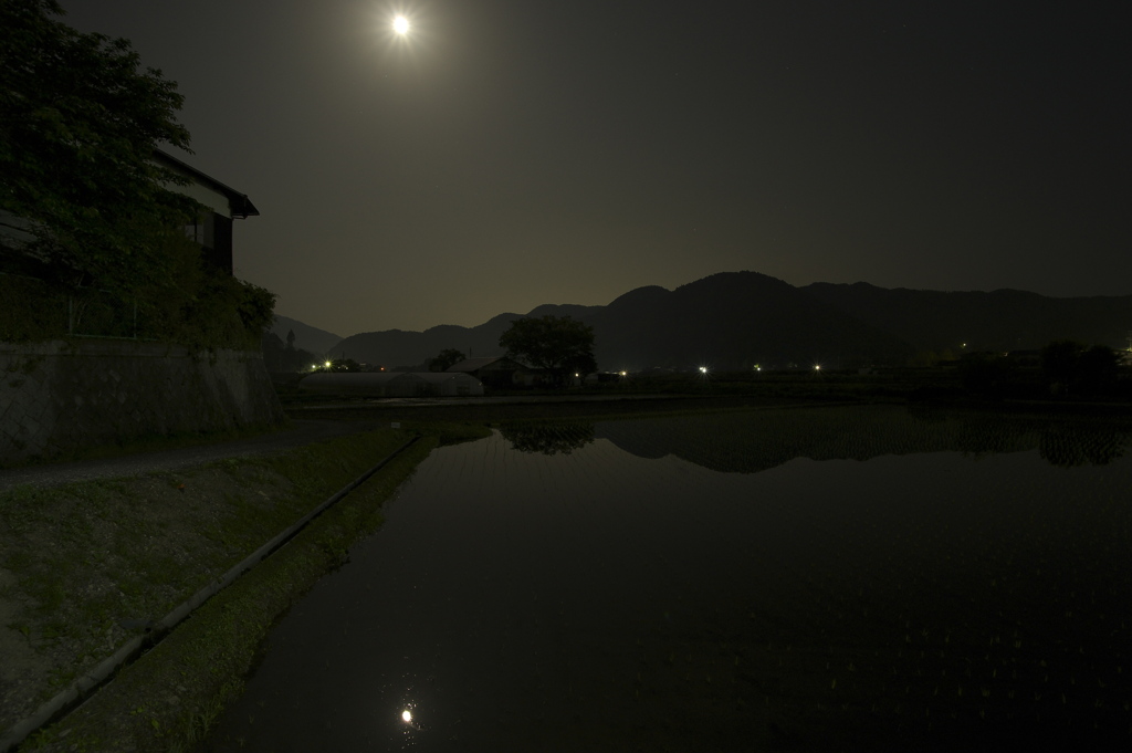 月の夜の頃に